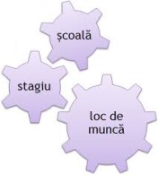 Stagiu practică în cadrul DLEP Iaşi#1